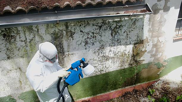 Clearance testing in Liverpool